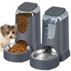 Automatic Cat Feeder and Water Dispenser with Stainless Steel Bowl