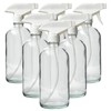 DMSOSTORE Set of 6 Glass Spray Bottles - 16 oz.