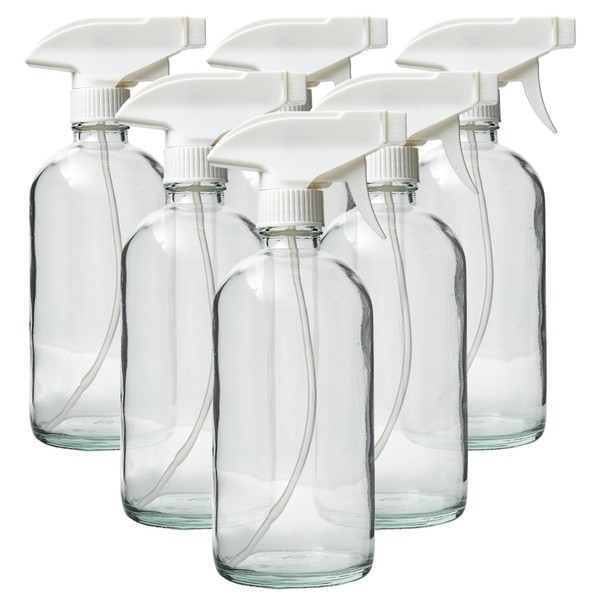 DMSOSTORE Set of 6 Glass Spray Bottles - 16 oz.