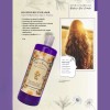Shampoo Regenerador Antiseborreico Ajo Y Arnica Florigan® 1l
