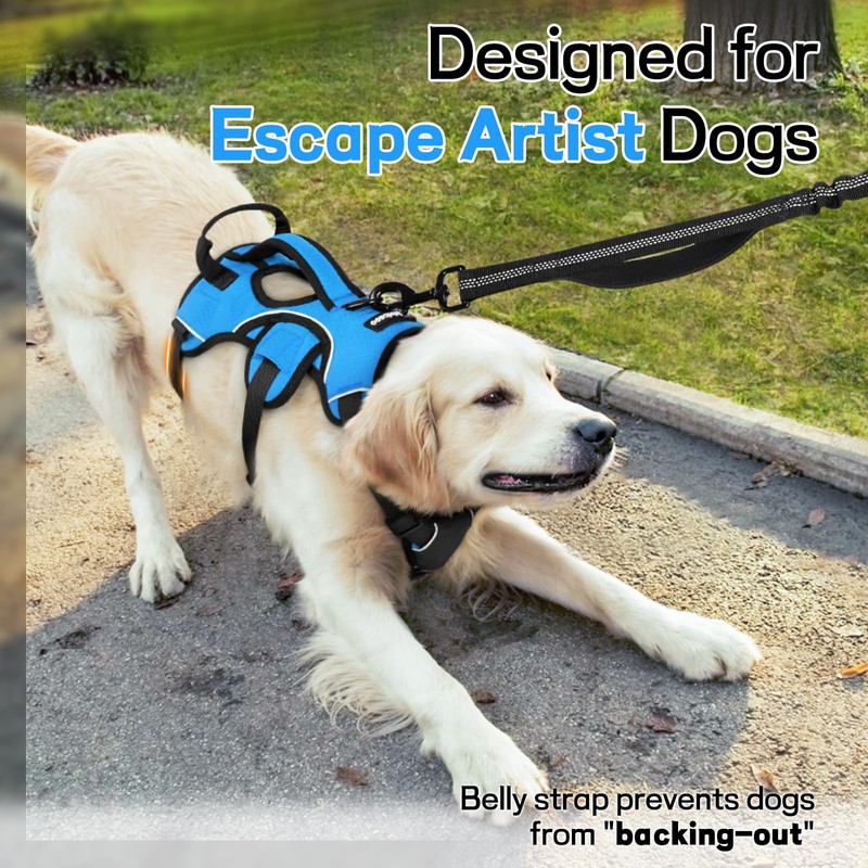 rabbitgoo Escape-Proof Dog Harness Medium with Large Handle, Adjustable No