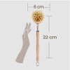 Eco Basics Plastic Free Dish Brush - 22x4x6cm, Bamboo Handle,