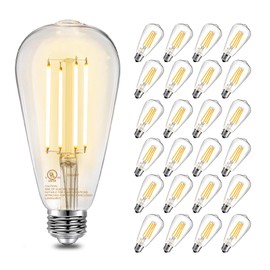 DAYBETTER Vintage LED Edison Bulbs, E26 Led Bulb 60W Equivalent, Dimmable Led Light Bulbs, High Brightness 6W 800 LM Warm White 2700K, ST58 Antique LED Filament Bulbs, Clear Glass, 24 Pack