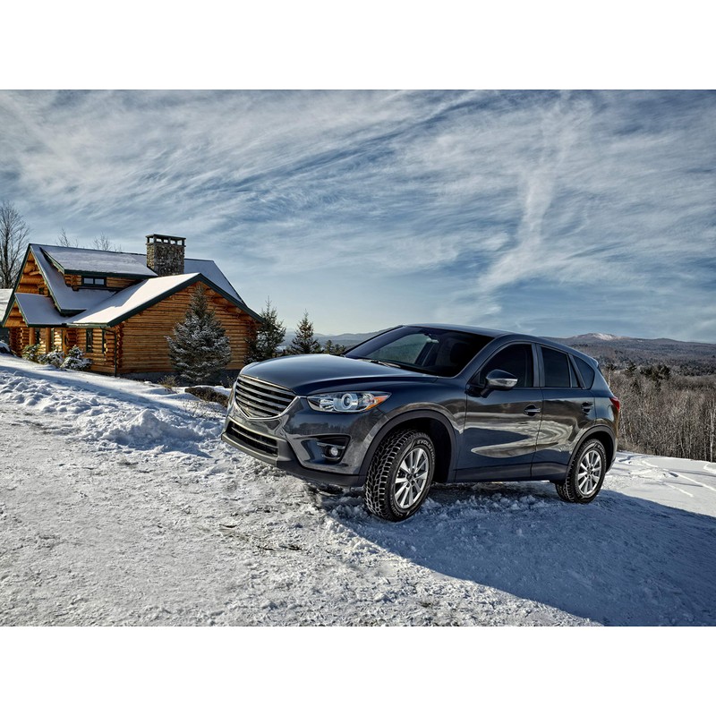 Cooper Evolution Winter 205/65R16 95T Tire