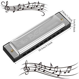 RosewineC Harmonica, 10 Holes 20 Tones Mouth Organ Key of C Stainless Steel Mini Blues Harmonica for Kids Adults Beginners and Performers