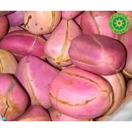 Obi Abata Cola acuminata Kolanuts (0.5)