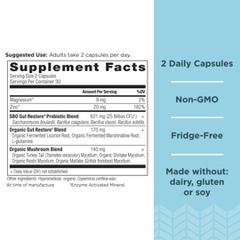 Ancient Nutrition Probiotics by Ancient Nutrition, SBO Probiotics Gut Restore 60 Ct, Promotes Gut Health, Digestive and Immune Support, Gluten Free, Ancient Superfoods Blend, 25 Billion CFUs* Per Serving