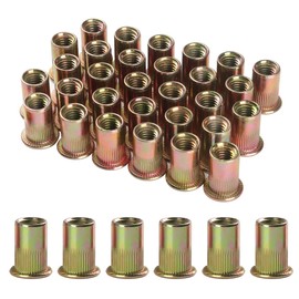FOMGIIN Pack of 30 Rivet Nuts M4, Carbon Steel Galvanised Rivet Nut Round Internal Thread Flat Head Rivet, Threaded Rivets Rivet Nuts Sleeve Nut Used Rivet Nut for Pipes, Metal Plates
