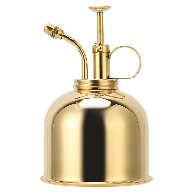 Professional Stainless Steel Watering Can with Top Pump for Succulent