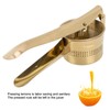 Lemon Squeezer Stainless Steel Long Handle Hand Held Juice Press