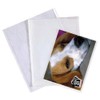 50 x Clear Faced Photo Bags for Storing Prints. 10.5"