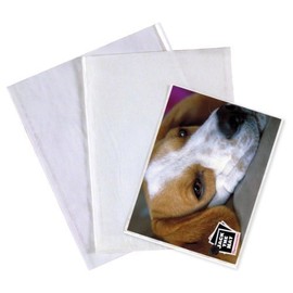 50 x Clear Faced Photo Bags for Storing Prints. 10.5" x 8.5"