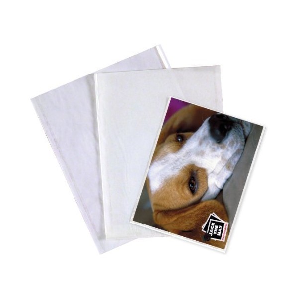 50 x Clear Faced Photo Bags for Storing Prints. 10.5"
