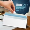 Compuchecks Double Window Envelopes - Gummed, Security Business Mailing Check