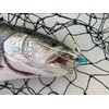 5 Pack 4" Salmon Trolling Fly & Leader Rig UV