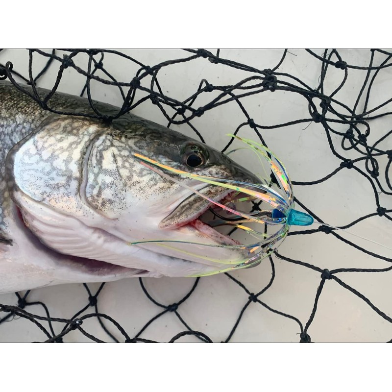 5 Pack 4" Salmon Trolling Fly & Leader Rig UV