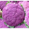 Cauliflower Seeds- Sicilian Violet- Heirloom Variety- 200+ Seeds