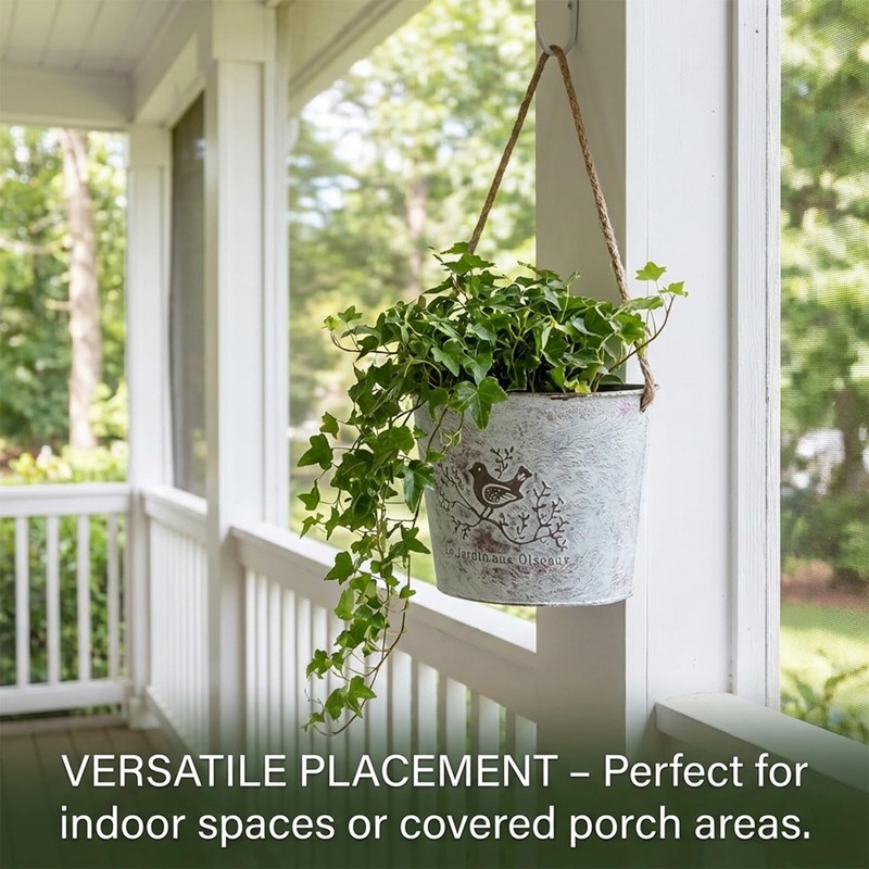 Riadyet 2 Pack Hanging Planters, 7.1 Inch Vintage Bird Flower