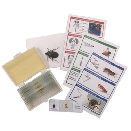 12 Prepared Insect Bug Parts Microscope Slides Set Real Beetle Specimen Postcards STEM Science Kit