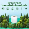 Caboo Tree Free Toilet Paper, Septic Safe Toilet Tissue, Non