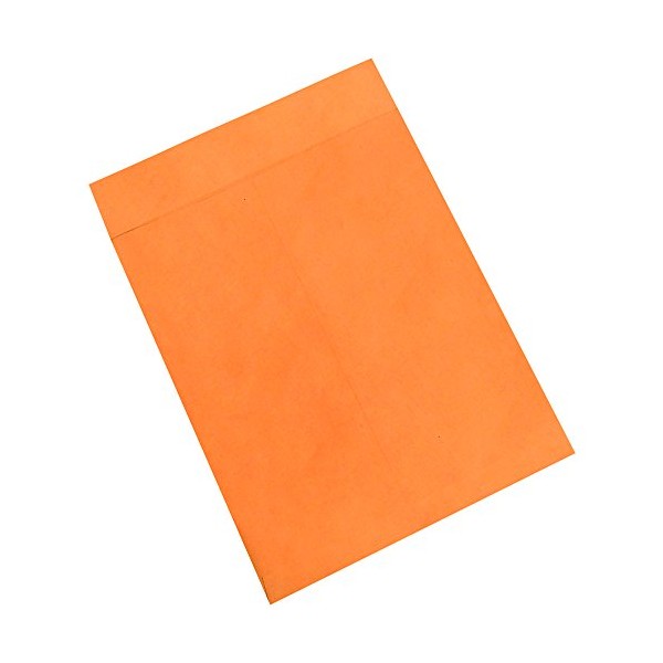 Jumbo Envelopes, 14" x 18", Kraft, Large Envelopes for Protecting, Mailing and Shipping Oversized Printed Items, Case of 100