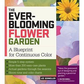 The Ever-Blooming Flower Garden: A Blueprint for Continuous Color