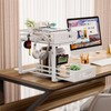 mixeshop Under Sink Organizer, 2 Tier Under Sink Organizers and