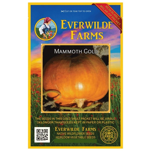 Everwilde Farms - 40 Mammoth Gold Pumpkin Seeds - Gold