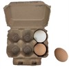 Half Dozen Egg Cartons- Henlay Blank Flat Top Six Pack