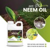 Pacific Pelican 100% Pure Cold Pressed Concentrated Neem Oil for