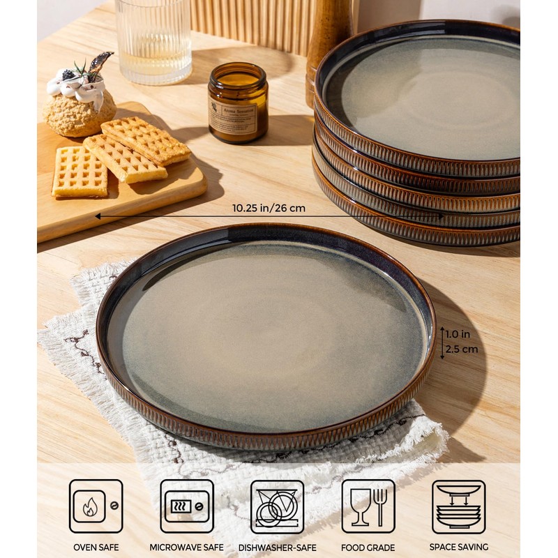 theterra Dinner Plates Set of 6, 10.25 Inch Ceramic Dinner