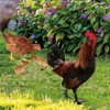 HANABASS Pack of 4 Chickens Chicks Ground Stakes Lawn Ornament
