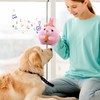 Interactive Dog Toy, Easter Dog Toy, Interactive Play Ball for