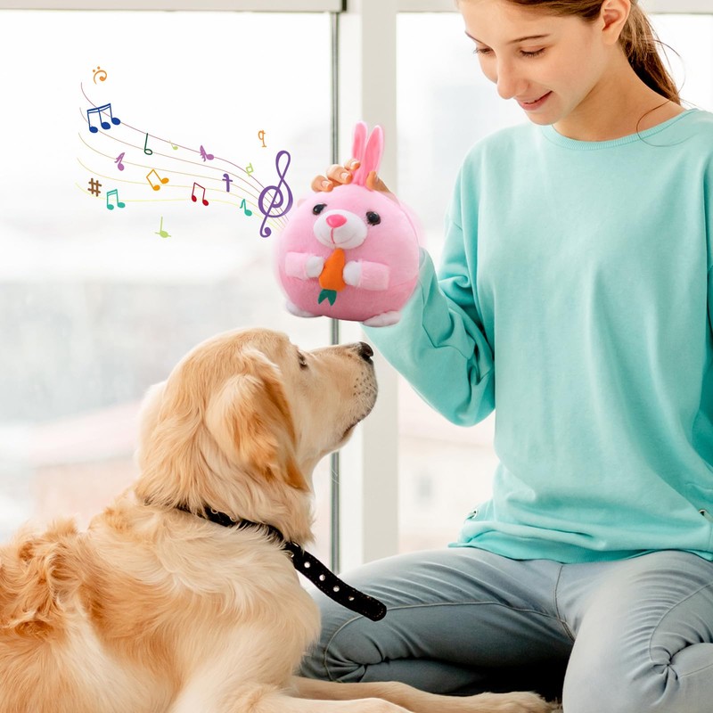 Interactive Dog Toy, Easter Dog Toy, Interactive Play Ball for