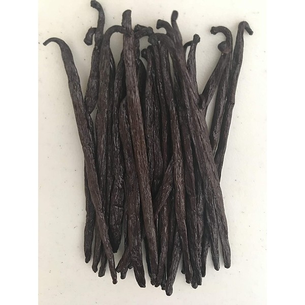 Vanilla Beans Grade A Madagascar (10 ea) for Extract, Paste, Cooking and Baking by FITNCLEAN VANILLA| 5.5"-7.5" Bourbon Gourmet Whole Fresh Raw Natural Bulk NON-GMO Pods.