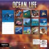 2023 Ocean Life Wall Calendar