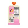 Peter Rabbit Organics Fruit Flavors Variety Pack - Squeezable Snack