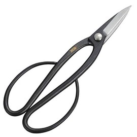 Kinboshi 3003 Venus Okubo Shears (with Steel)