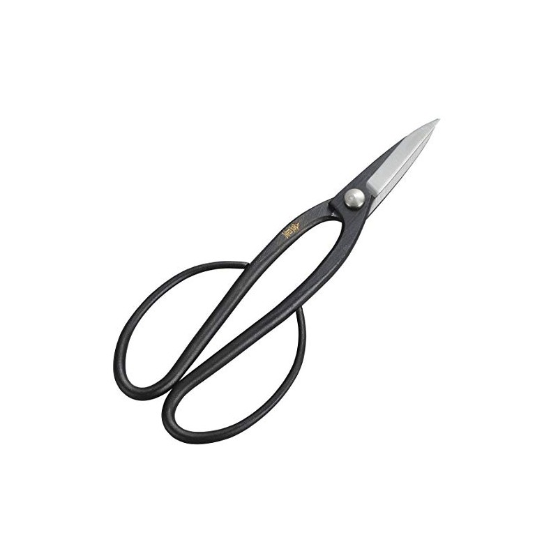 Kinboshi 3003 Venus Okubo Shears (with Steel)