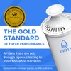 Brita Jarra de Filtro de Agua Grande 10 Tazas