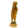 Kremers Schatzkiste Small Meerkat Standing Garden Figurine 20 cm Meercat