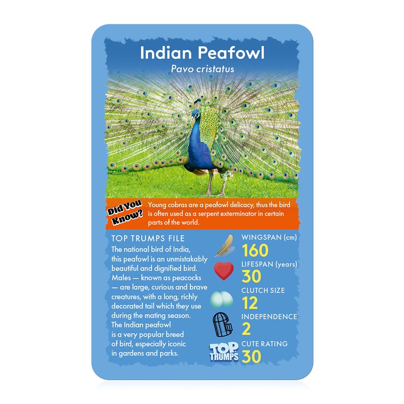 Birds Top Trumps Card Game