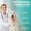 HMone Dog Relaxants Dog Herbal Supplements Oil for Cat Drops