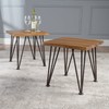 Christopher Knight Home Geania Indoor Industrial Acacia Wood Side Table,