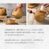 Taiwan Apple Tea Pot, 8.5 fl oz (250 ml), Taiwanese