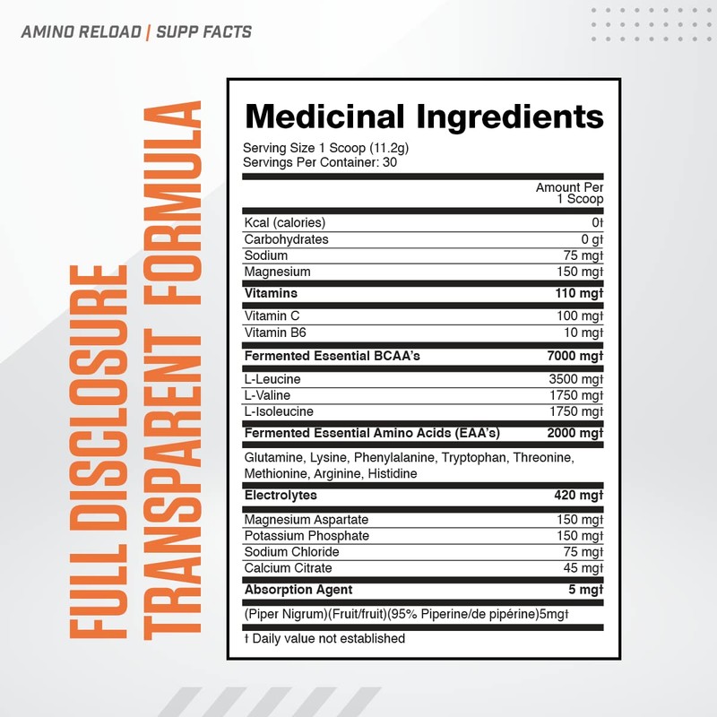 BALLISTIC SUPPS - AMINO RELOAD - All Day Recovery BCAA