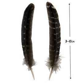 Turkey Wing Feathers,Natural Big Long Feather,8-10 inches (20-25cm),Large Size Bilateral Feathers,Left and Right Wings for Crafts,Bulk 12PCS (Natural Turkey Wing)