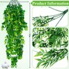 Suncalla Reptile Plants Terrarium Hanging Plants Vines Boston Climbing Terrarium