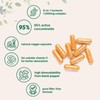 Micro Ingredients Turmeric Curcumin 1,000mg | 95% Curcuminoids with Black