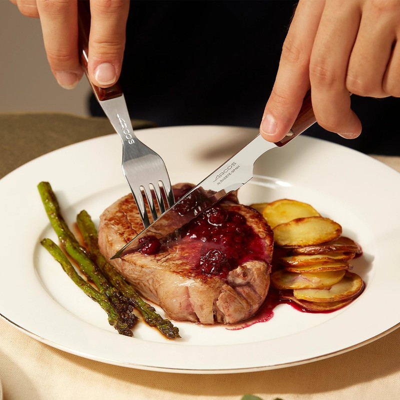 Arcos 4 inch Steak Knife in Nitrum Stainless Steel. Meat